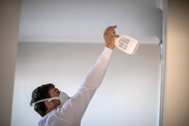 Best Fast Mold Removal  in Carroll Valley, PA