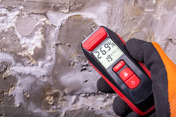 Best Emergency Mold Removal  in Carroll Valley, PA