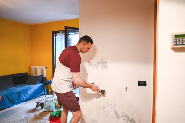 Best Local Mold Removal Service  in Carroll Valley, PA